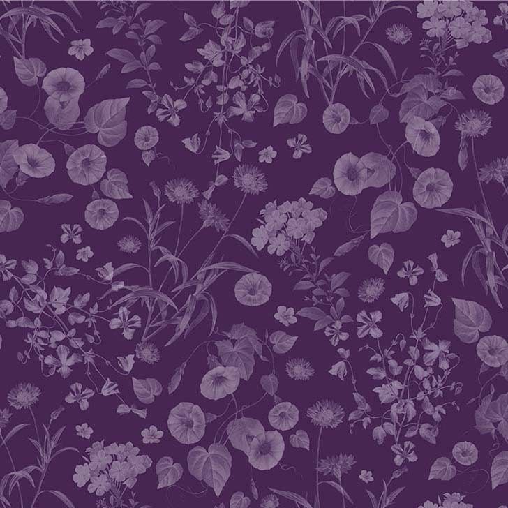 Purple Dawn